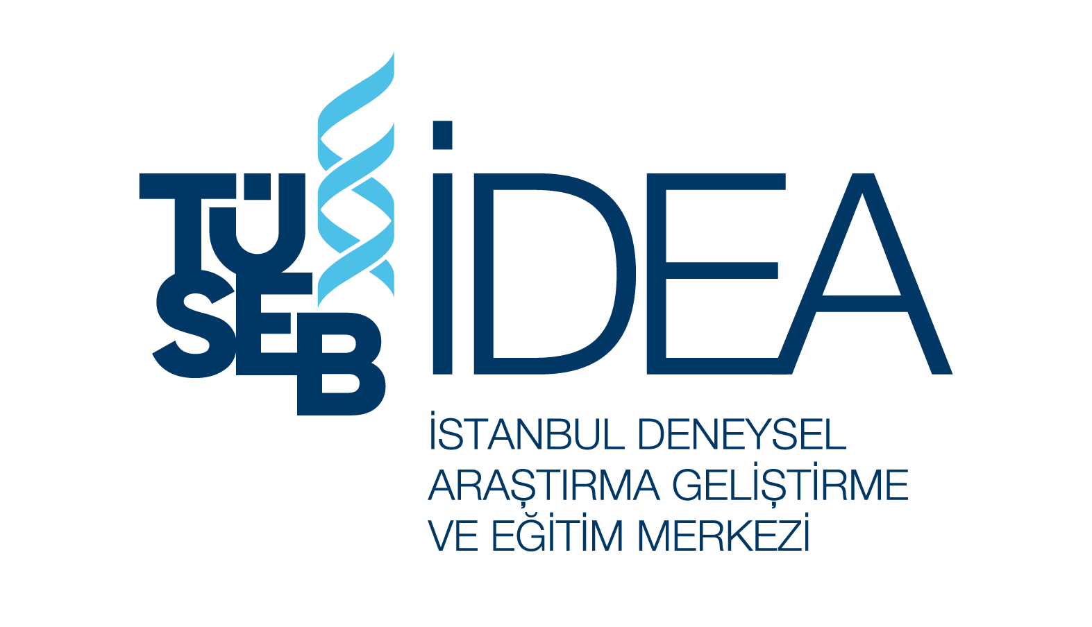 idea-logo